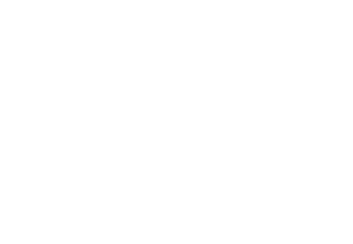 Básico + logo